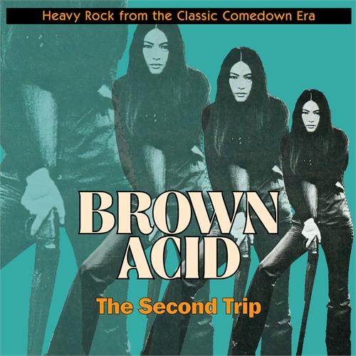 Diverse artister Brown Acid - The Second Trip (LP)